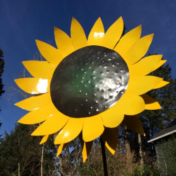 Giant Sunflower