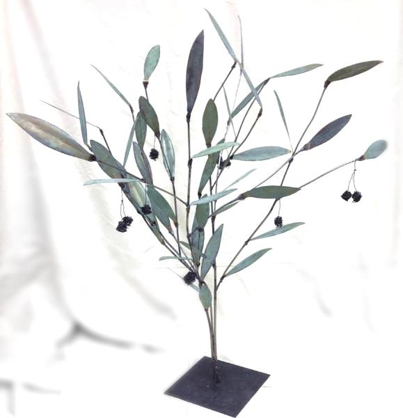 Olive Trees