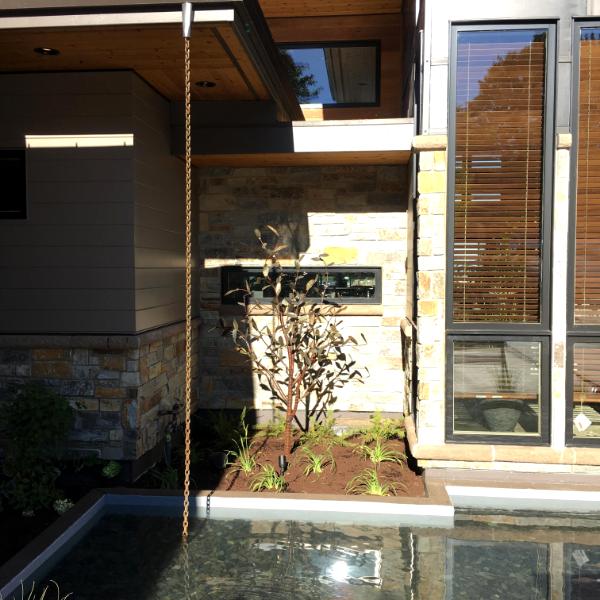 Custom Trees for New Home