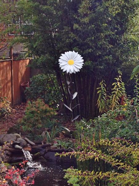 Giant  Daisy