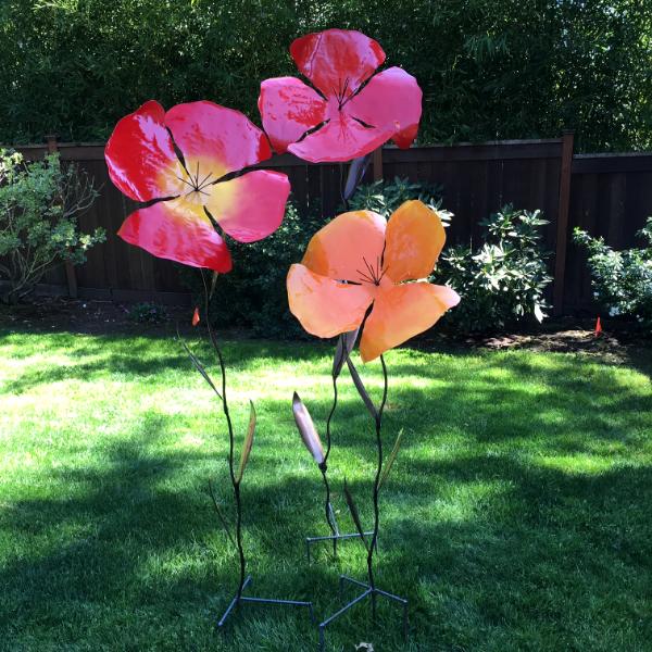 Giant Poppies