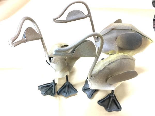 Birds and Animals