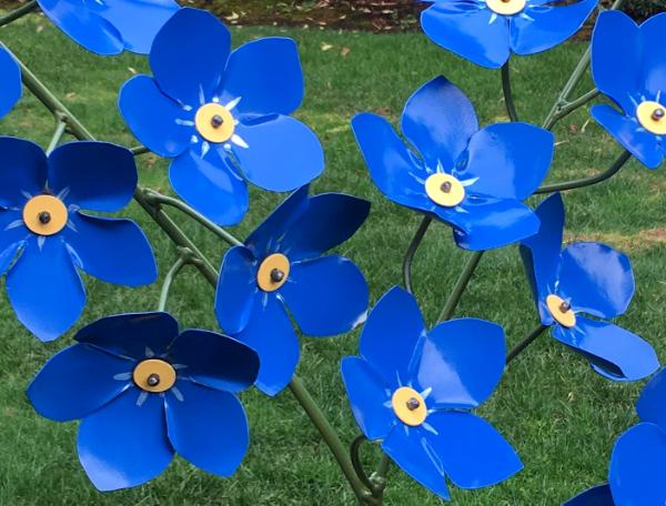 Forget Me Not