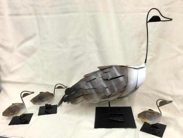 Birds and Animals